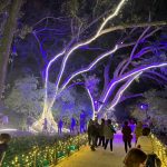 Visita Mayores de Mijas jardín botánico