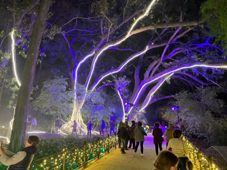 Visita Mayores de Mijas jardín botánico