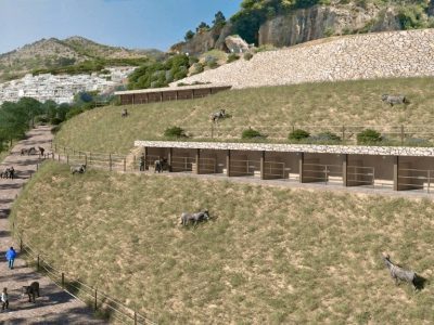 El Ayuntamiento de Mijas impulsa el parque recreativo ‘El Burrito de Mijas’ para fomentar el conocimiento y la preservación de esta especie