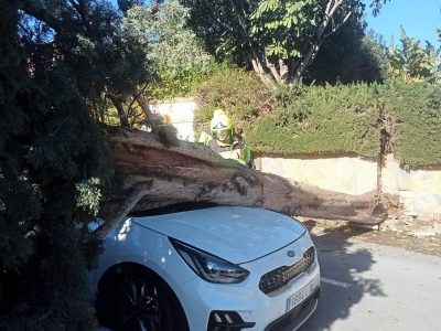 Los servicios municipales de Mijas atienden más de sesenta incidencias por el viento con caídas de árboles, vallas y daños materiales