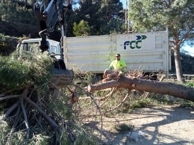 Los temporales de viento en Mijas arrojan daños por valor de 112.000 euros y una significativa pérdida de masa vegetal
