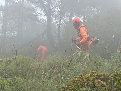 El Ayuntamiento de Mijas intensifica la poda, los desbroces y los clareos en la Sierra antes de la temporada de riesgo alto de incendios