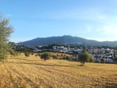 El Ayuntamiento de Mijas insta a los dueños de parcelas privadas a limpiar y desbrozar para evitar incendios y proteger el entorno
